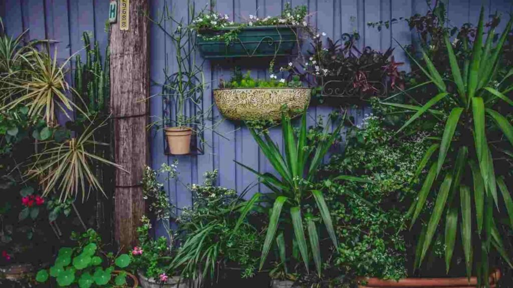 Container Gardening: The Complete Guide for Beginners 2 What Container Gardening Really Means