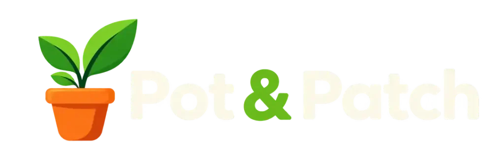 pot-and-patch-compressed