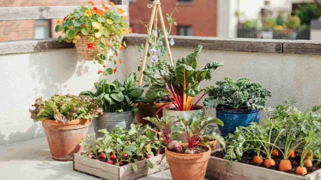 Best Container Vegetables: Sizes, Sun & Top Varieties 3 Best Vegetables for Partial Shade and Cool Seasons