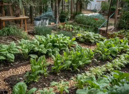 Compact backyard vegetable garden