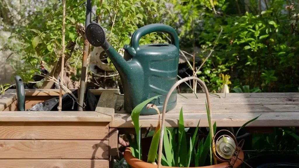 Container Gardening: The Complete Guide for Beginners 11 Container garden with several potted plants and a watering can on a patio