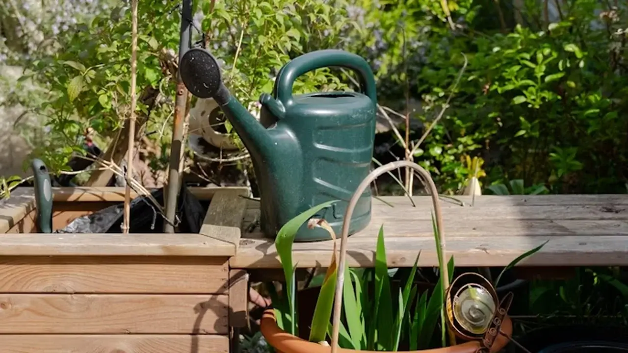Container garden with several potted plants and a watering can on a patio