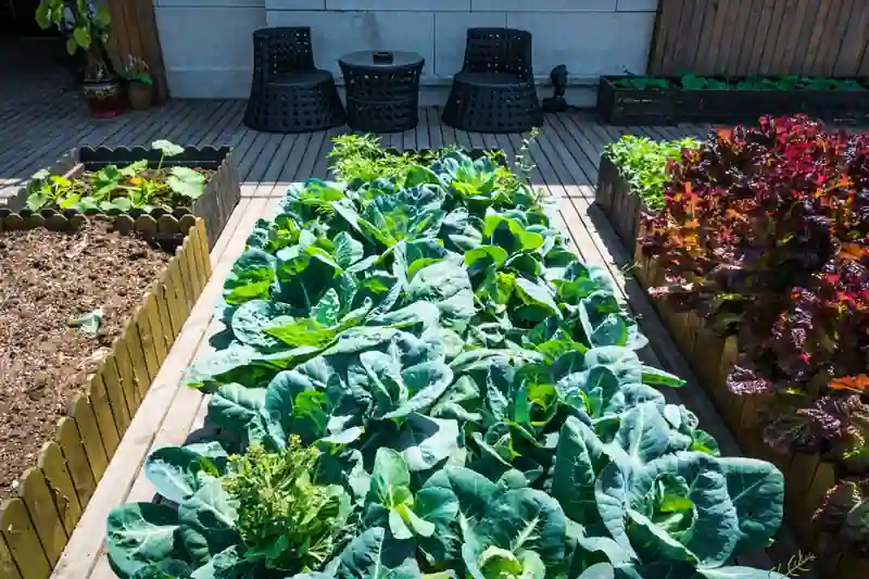 Start Small-Space Gardening | Beginner Guide | Pot & Patch 7 Raised bed vegetable garden