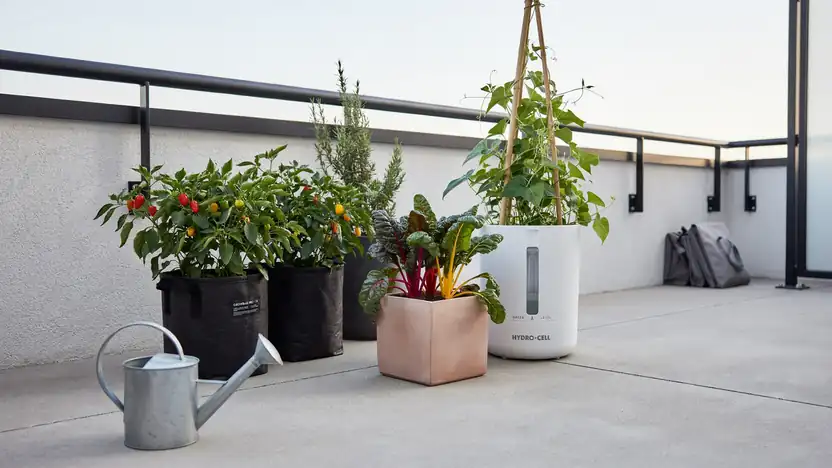 15 Balcony Vegetable Garden Ideas + What to Grow 5 Fabric grow bags and self-watering pots with vegetables on a balcony floor