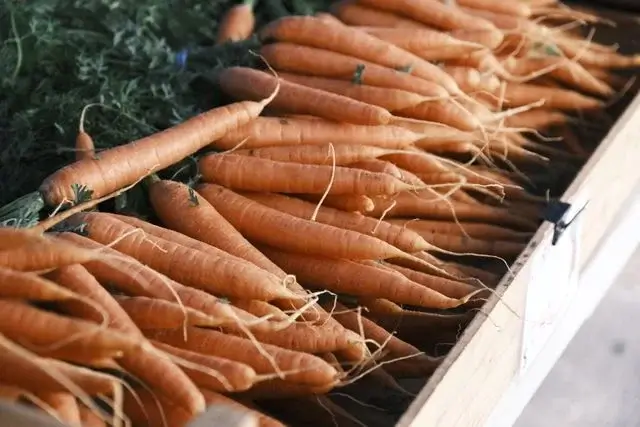 Carrots