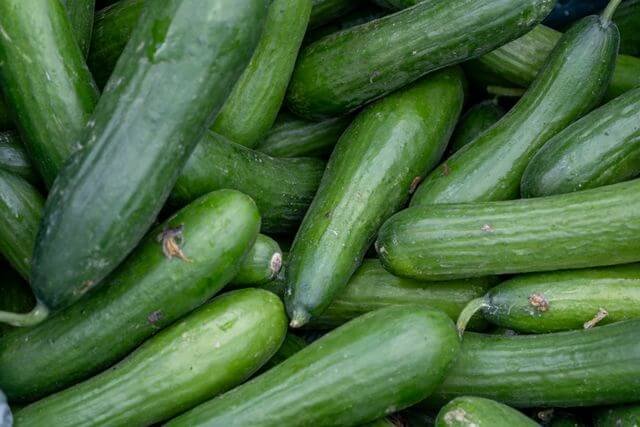 Small-Space Gardening Made Simple | Pot & Patch 14 Cucumbers