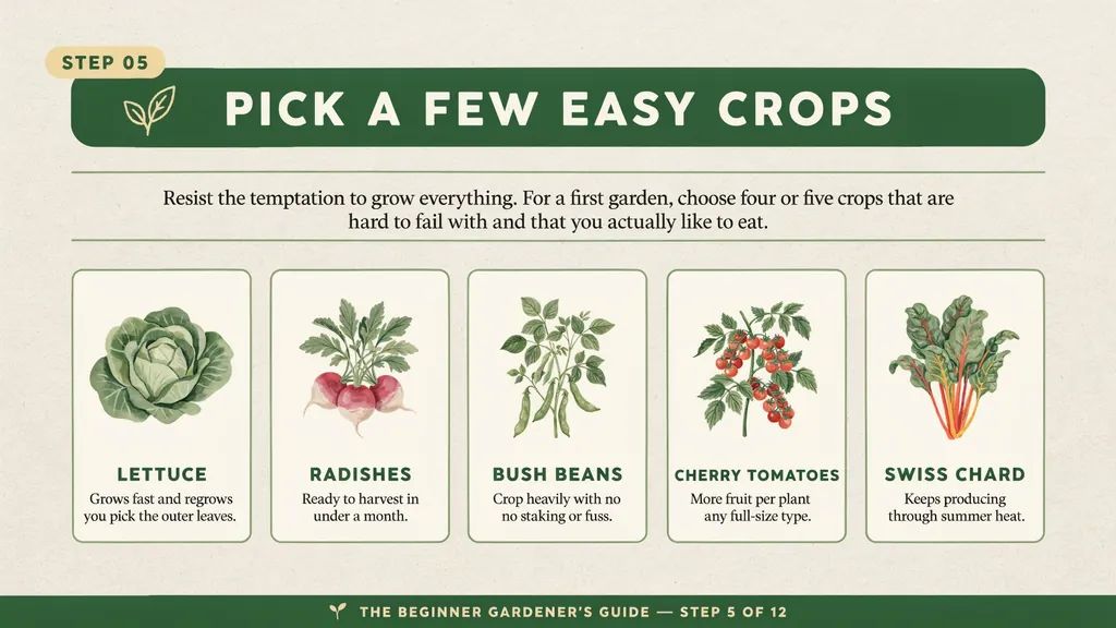 How to Start a Small Vegetable Garden in 7 Simple Steps 6 Lettuce, radishes, and cherry tomatoes growing in a home garden