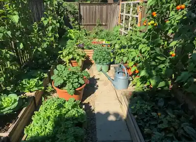 Small patio container garden