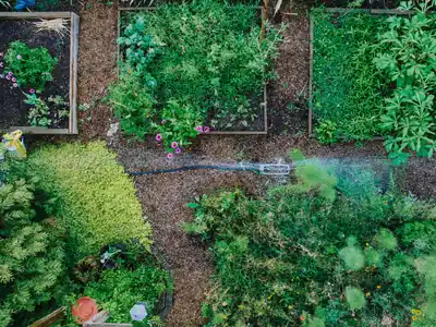 Small-Space Gardening Made Simple | Pot & Patch 4 Small backyard garden