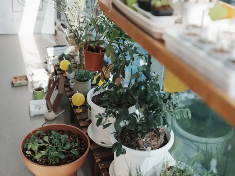 Small-Space Gardening Made Simple | Pot & Patch 3 Patio container garden