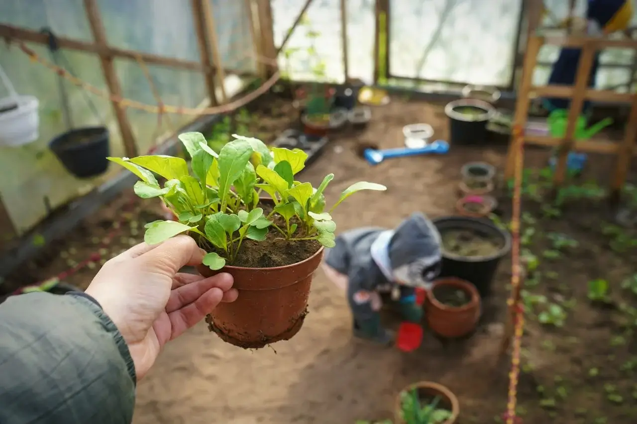 Small-Space Gardening Made Simple | Pot & Patch 1 Small balcony vegetable garden with herbs and vegetables in containers