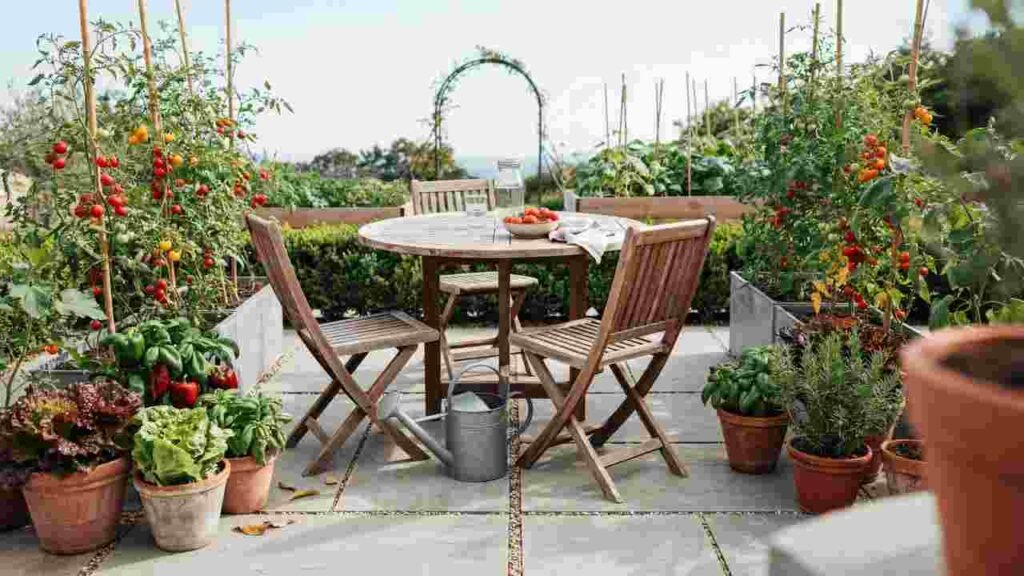 Patio dining area with vegetable containers arranged around the edges and open seating space