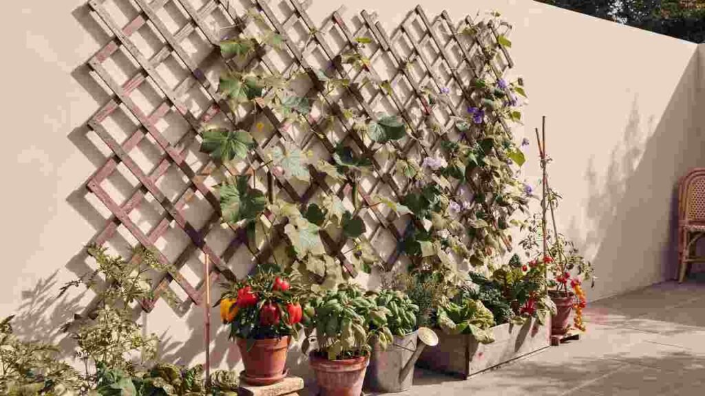 Sunny patio wall garden with cucumbers, pole beans, peppers, herbs, and vertical supports