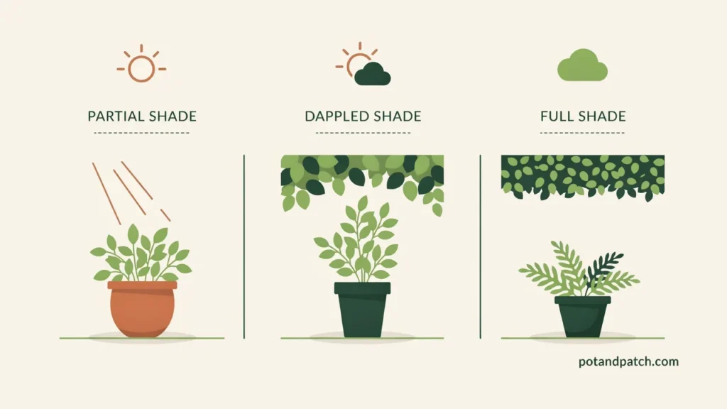 Vegetables That Grow in Shade: What to Plant in Low Light 2 Comparison of partial shade, dappled shade, and full shade garden conditions