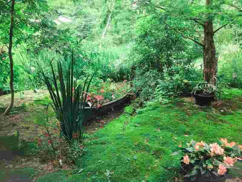 Small-Space Gardening Made Simple | Pot & Patch 23 Small patio garden
